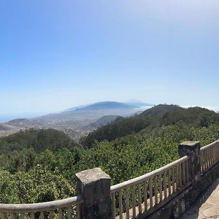 Los Cactus Santa Cruz de Tenerife Zewnętrze zdjęcie