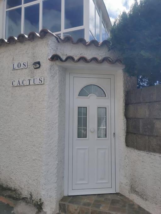 Los Cactus Santa Cruz de Tenerife Zewnętrze zdjęcie