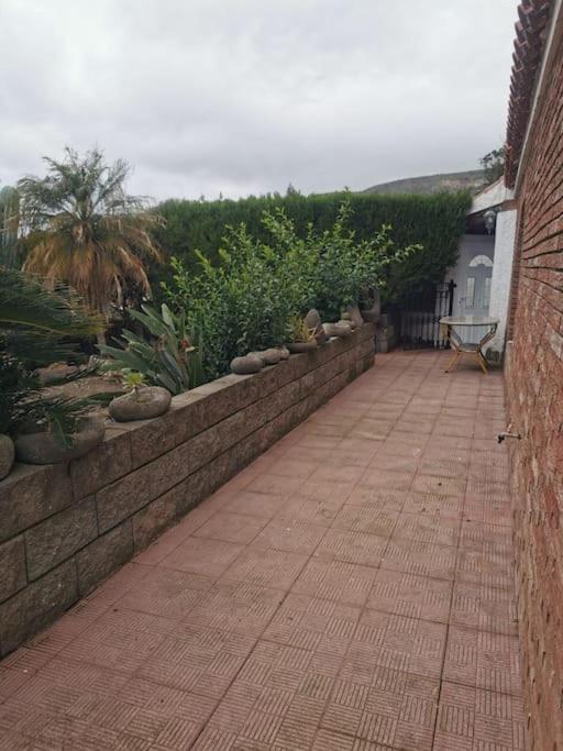 Los Cactus Santa Cruz de Tenerife Zewnętrze zdjęcie
